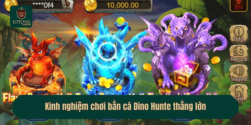 Kinh nghiệm chơi bắn cá Dino Hunte thắng lớn